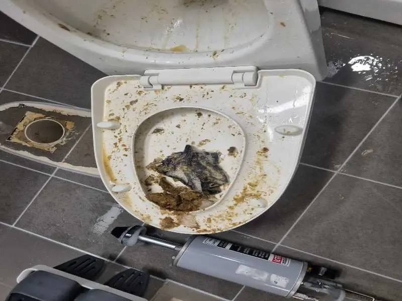 산본 변기 물이 넘치려 할 때 바로 할 일